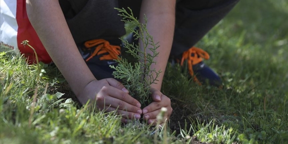 AB’den ağaç dikim etkinliği