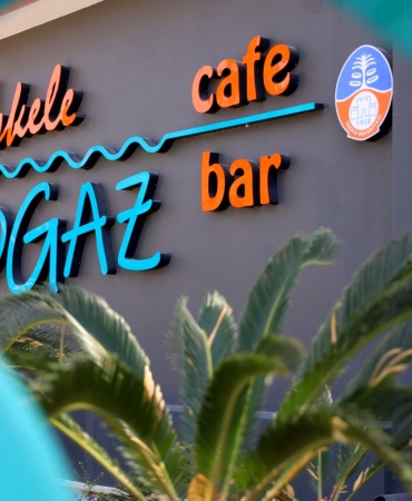 ac1c61a5-6269-4991-96da-bdc7e564a29a