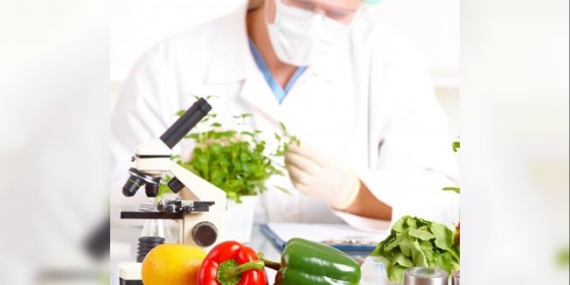 Çilek, fasulye ve biberde limit üstü, domateste tavsiye dışı bitki koruma ürünü tespit edildi