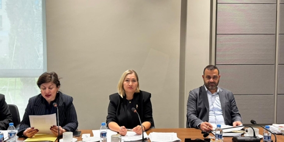 Hukuk, Siyasi İşler, Dışilişkiler ve Savunma Komitesi toplandı