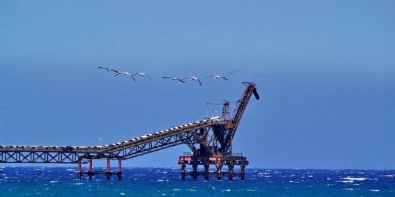 Lefke Çevre ve Ekoloji Derneği: “Çevre sorunları ertelenemez bir noktaya ulaştı. Acil ve somut adımlar atılmalı”