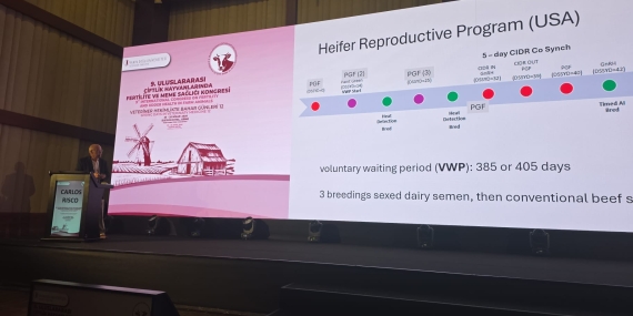 Tarım ve Doğal Kaynaklar Bakanı Çavuş: “Bilimsel çalışmalar ve yenilikçi yaklaşımlar hayvancılık sektörünün geleceği için yol gösterici”