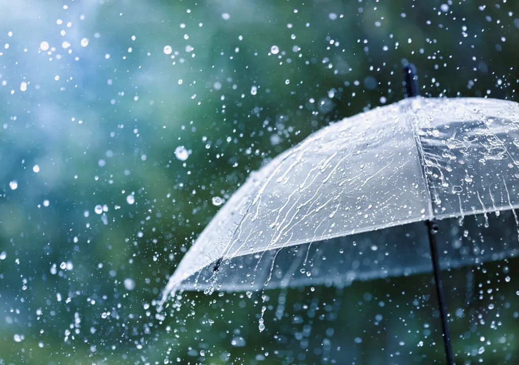 Meteoroloji Dairesi: 
