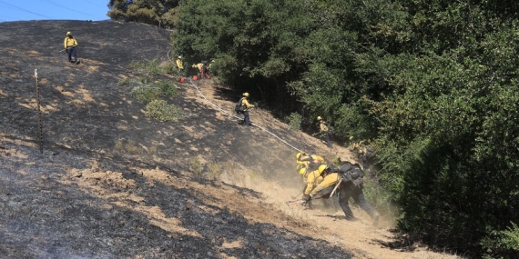 ABD’nin California eyaletinde çıkan yangında 14 bin 600 dönümden fazla alan yandı