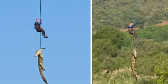 Güney Afrika’da dev timsahın midesinden çıkan terliklerin kayıp vakalarıyla bağı araştırılıyor