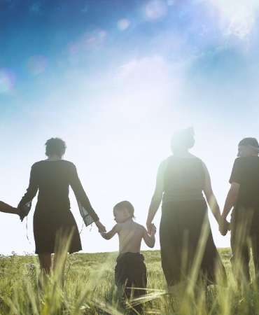 aile-2360452.jpg
