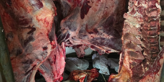 Hamitköy’de izinsiz ve sağlıksız koşullarda et kesen kişi ve ağıl sahibine ceza…