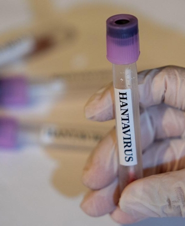 hantavirus-2459284.jpg