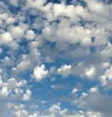 hava-25a381.webp.webp