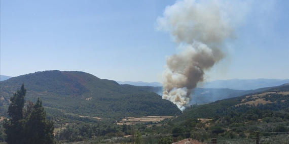 Ekipler havadan ve karadan müdahale ediyor