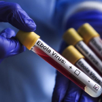 1782471477183ebola-vir-s.jpg