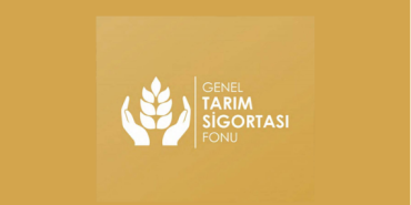 1782722054046Ekran-g-r-nt-s-2026-06-29-113359.png
