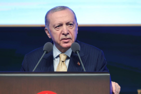 erdogan-2466059.jpg