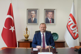 mehmet-danis-2411143.jpg