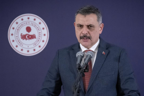 mustafa-ciftci-2457000.jpg