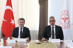 yumakli-memisoglu-aa-2472461.jpg