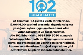 1784818231959ALO-102-HBAR-HATTI.jpeg