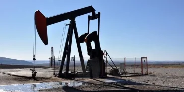 1785399092493petrol.webp.webp