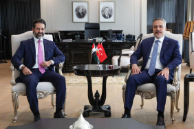 fidan-kubat-2473787.jpg