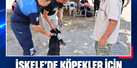İSKELE’DE KÖPEKLER İÇİN MİKROÇİP VE RUHSATLANDIRMA UYGULAMASI BAŞLADI