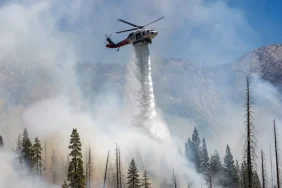 1790057631656Yosemite-2.webp.webp