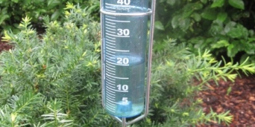 1790581327703ya-.jpg
