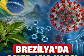 22327973-b671-4c53-9850-ea848d212e70