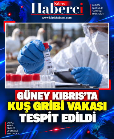 6a1146d5-06e7-4f8e-baf8-147f938e6709