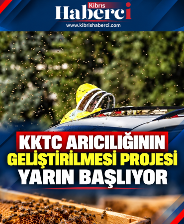 7a69e5f1-cdef-4531-9b48-a7a47d53ae0e