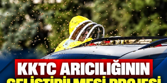 KKTC ARICILIĞININ GELİŞTİRİLMESİ PROJESİ YARIN BAŞLIYOR