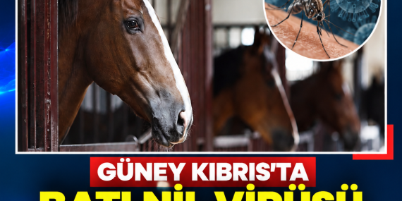 GÜNEY KIBRIS’TA BATI NİL VİRÜSÜ VAKASI TESPİT EDİLDİ