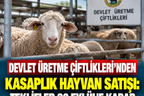 aa645781-e6d8-4c74-a59a-1df0716df4a8