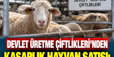 aa645781-e6d8-4c74-a59a-1df0716df4a8