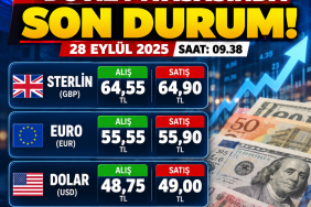 d3ddda93-1df1-477c-91a0-2568150697a5