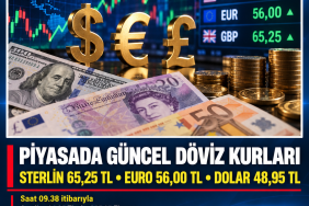 f24e6bdb-6c25-4f97-91ce-e618b4a5c761
