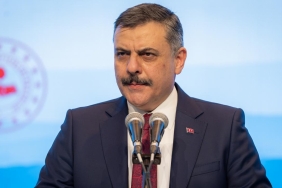 mustafa-ciftciaa-2487358.jpg