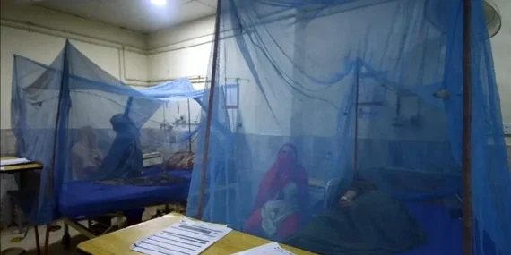 Bangladeş’te Dang Humması Alarmı: Yılbaşından Bu Yana 117 Can Kaybı