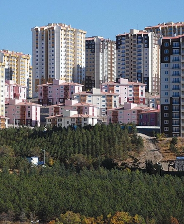 toki-2442890.jpg