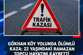 03369d71-3c47-4040-9bc2-2a0a2a1c115a