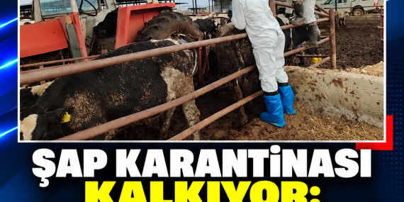 ŞAP HASTALIĞI NEDENİYLE UYGULANAN BÖLGESEL KARANTİNA KALDIRILIYOR