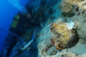 1791978579328thumbs_b_c_0490526b6b34bfd8f2dd881f64587b8a.webp