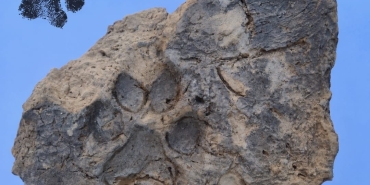 1793013676425AA-20261026-42867843-42867842-TAVSANLI_HOYUK_KAZILARINDA_YAKLASIK_4_BIN_YILLIK_PATI_IZL.jpeg