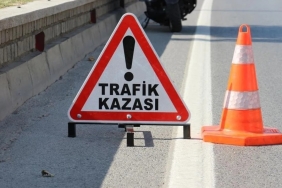 1793030454903traf-k-kazas-.jpg