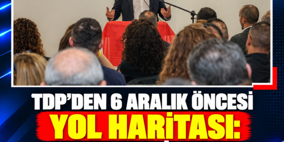 TDP’DEN 6 ARALIK ÖNCESİ YOL HARİTASI: HEDEF MECLİS’TE VE YEREL YÖNETİMLERDE GÜÇLÜ TEMSİL
