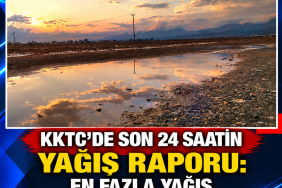 630ab877-4a81-4faf-9a28-fbe95ef918d3