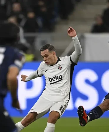 6ad13aba9f69b7780963e2ef.jpg