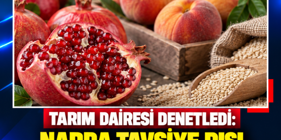TARIM DAİRESİ DENETLEDİ: NARDA TAVSİYE DIŞI, ŞEFTALİ VE SUSAMDA LİMİT ÜSTÜ KALINTI TESPİT EDİLDİ
