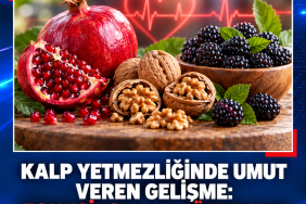 98e6c0d0-f092-49e2-9447-56980896d569