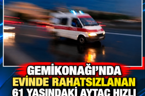 c15f4ad4-e000-49da-8c08-7208a578ada6