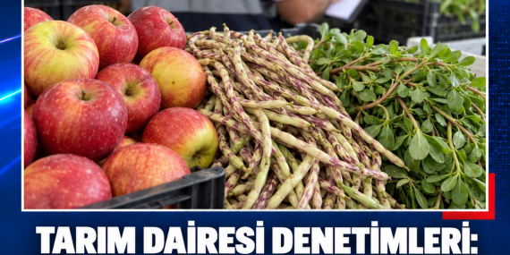 TARIM DAİRESİ DENETİMLERİ: ELMA VE BÖRÜLCEDE LİMİT ÜSTÜ, SEMİZOTUNDA TAVSİYE DIŞI ÜRÜN TESPİT EDİLDİ